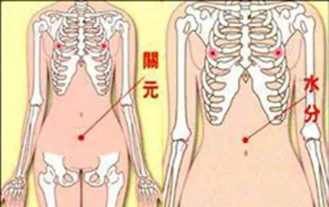 最全人体穴位解秘