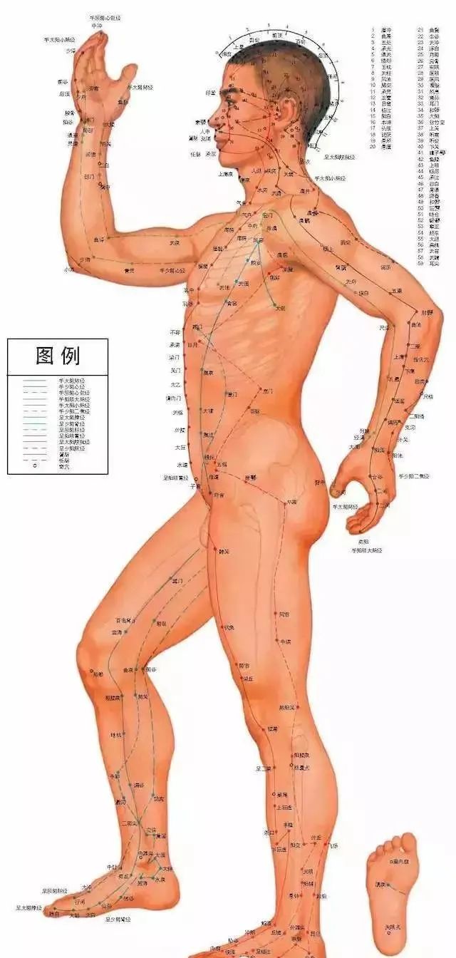 人体100个大穴与30个腧穴