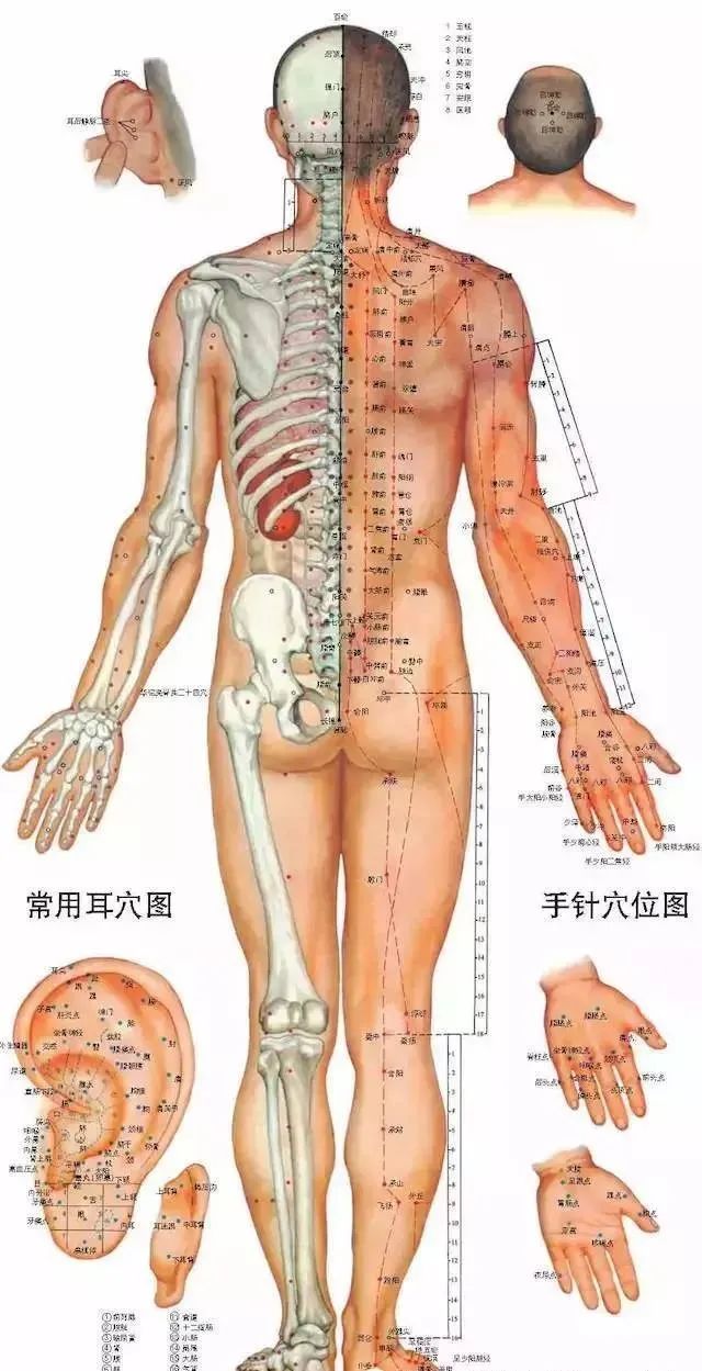 人体100个大穴与30个腧穴