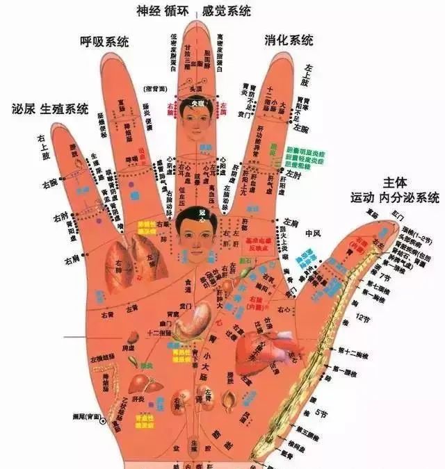 人体100个大穴与30个腧穴