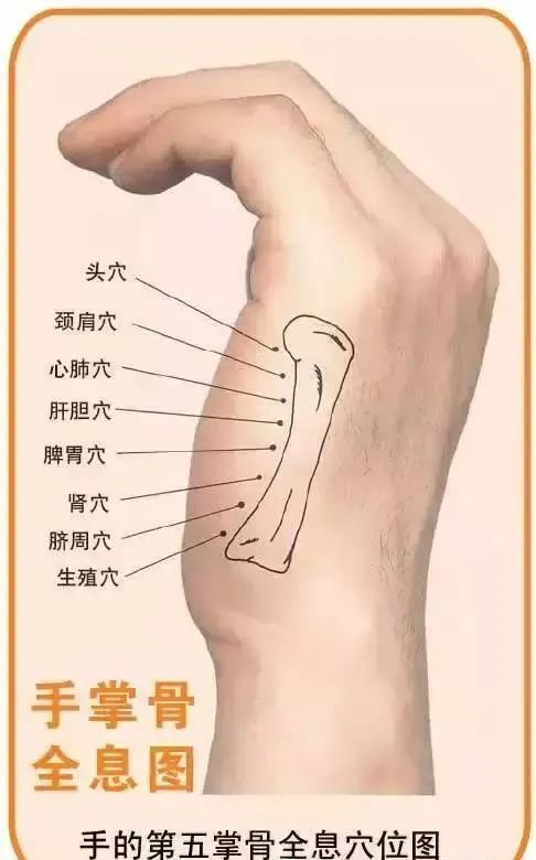 人体100个大穴与30个腧穴