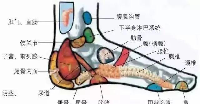 人体100个大穴与30个腧穴