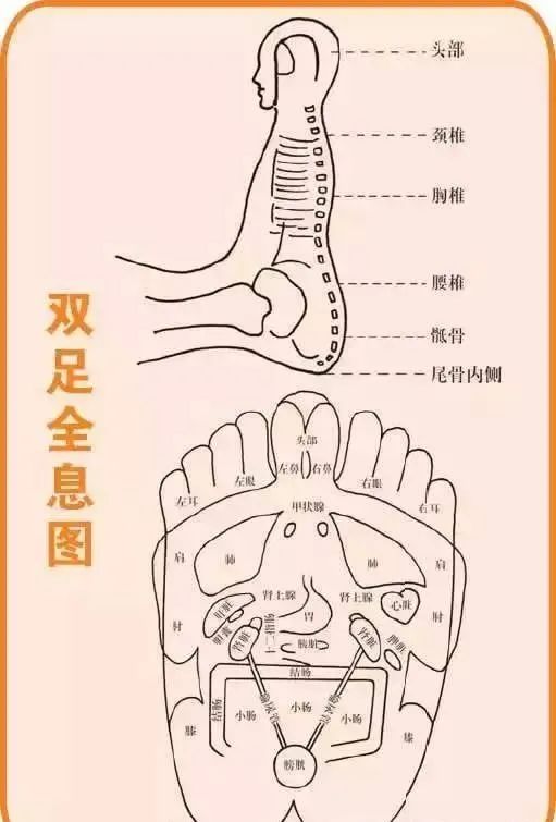 人体100个大穴与30个腧穴