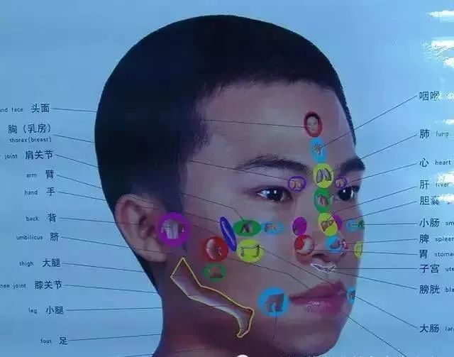 人体100个大穴与30个腧穴