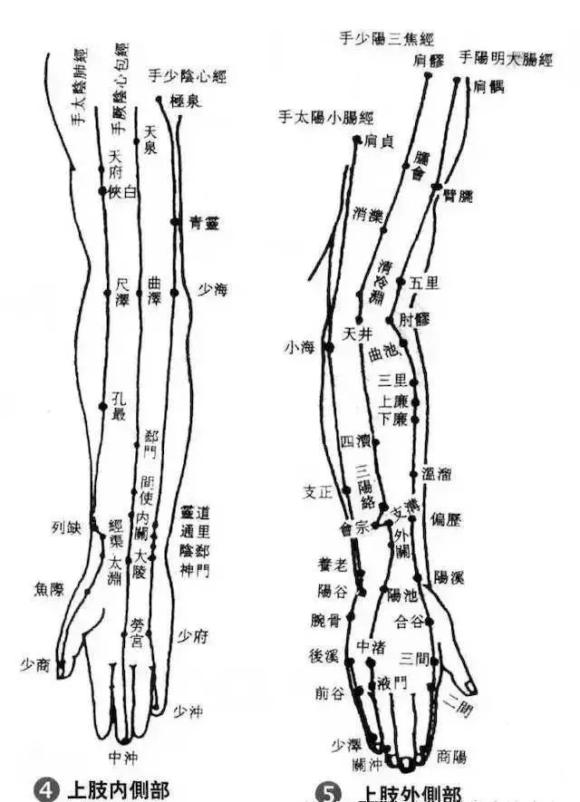 人体100个大穴与30个腧穴